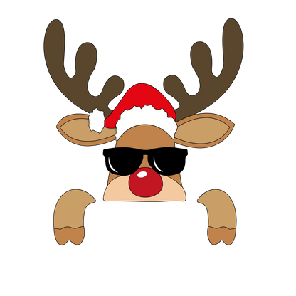 rendiertrui met naam volwassenen