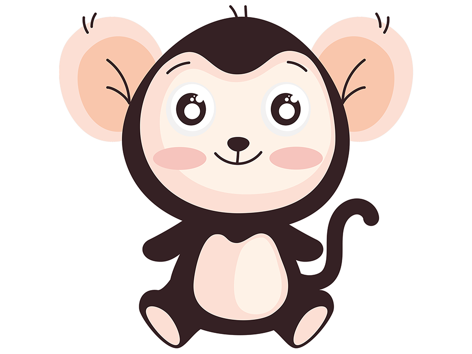 fluohesjes kleur diverse