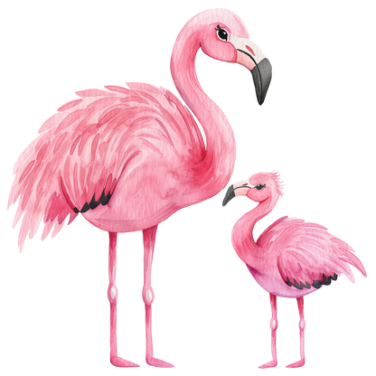 fluohesjes kleur diverse